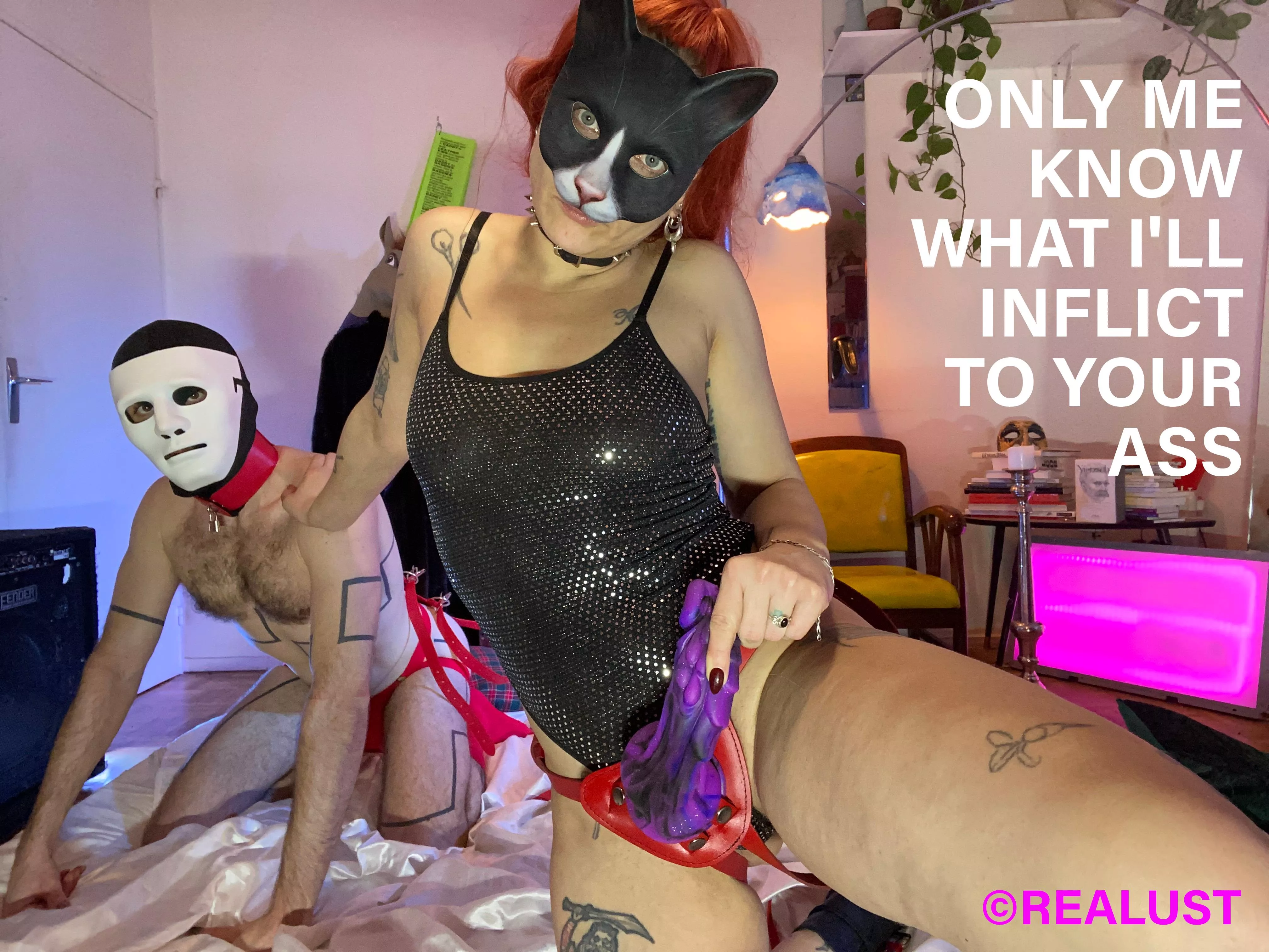 This cat has no master because she's the mistress ! posted by realust