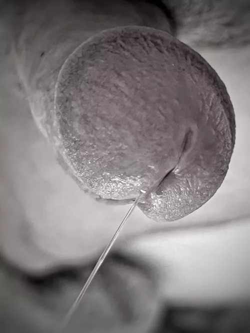 Who Said Dick Pics Can’t Be Artsy!? by Sea-Reference4069