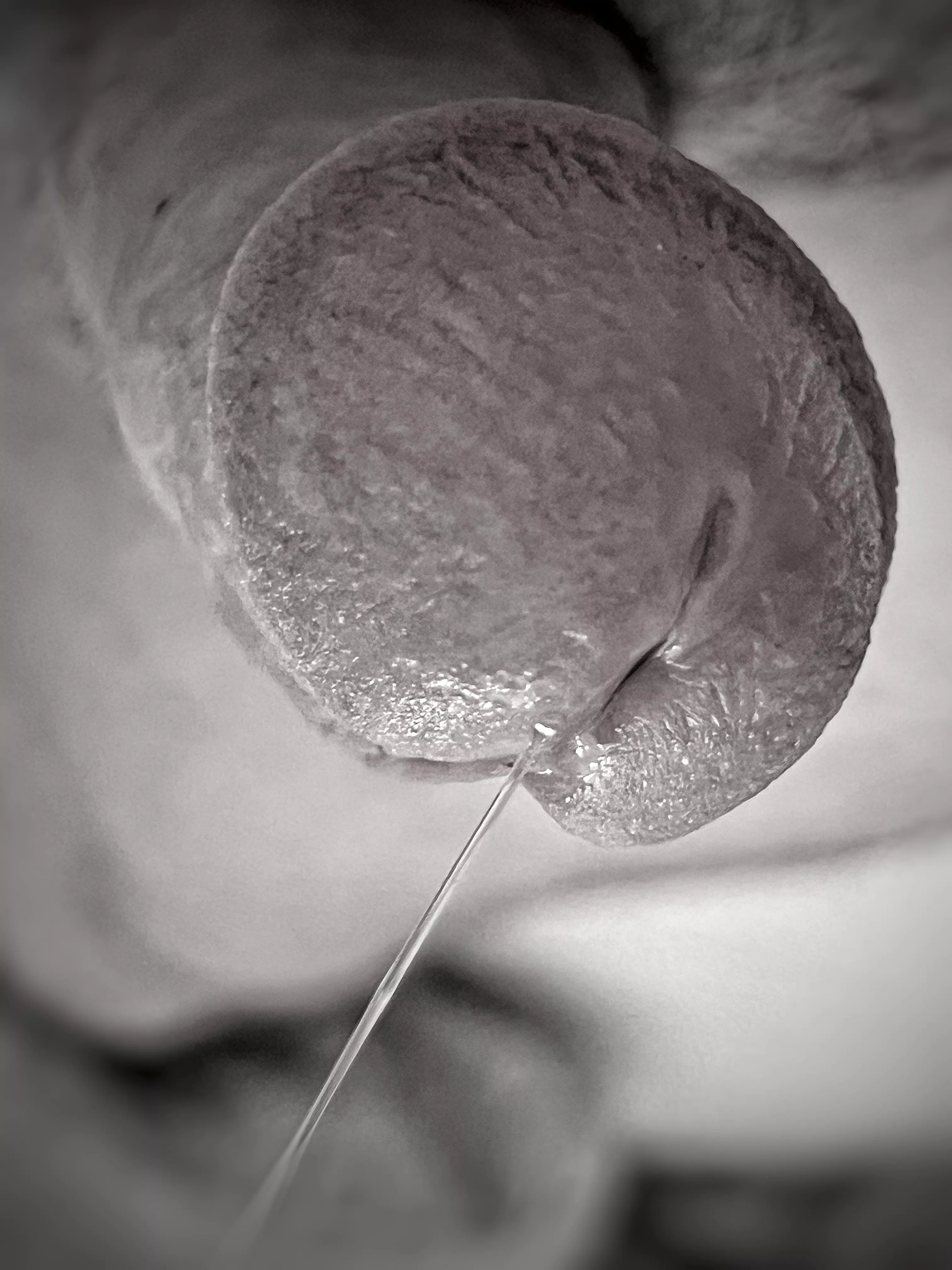 Who Said Dick Pics Can’t Be Artsy!? posted by Sea-Reference4069