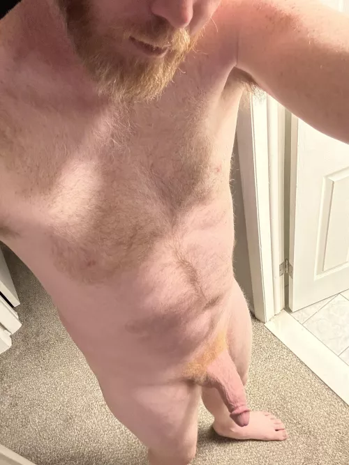 Would you have fun with this ginger cock? by bearfedging