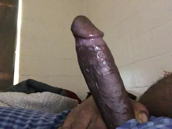 Any big booty chubs wanna chat with me by ConsiderationSoft401