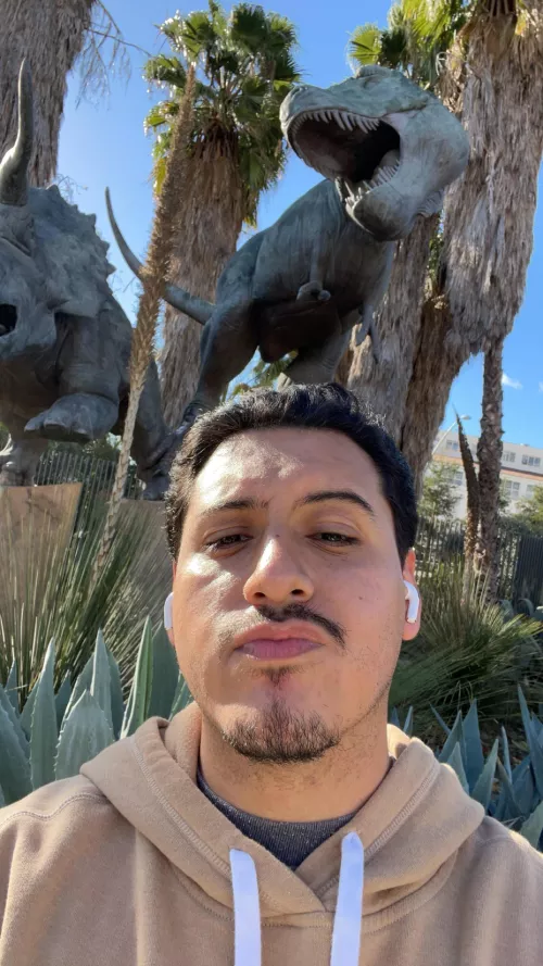 Anyone want to chat? 🦖 by fermo213