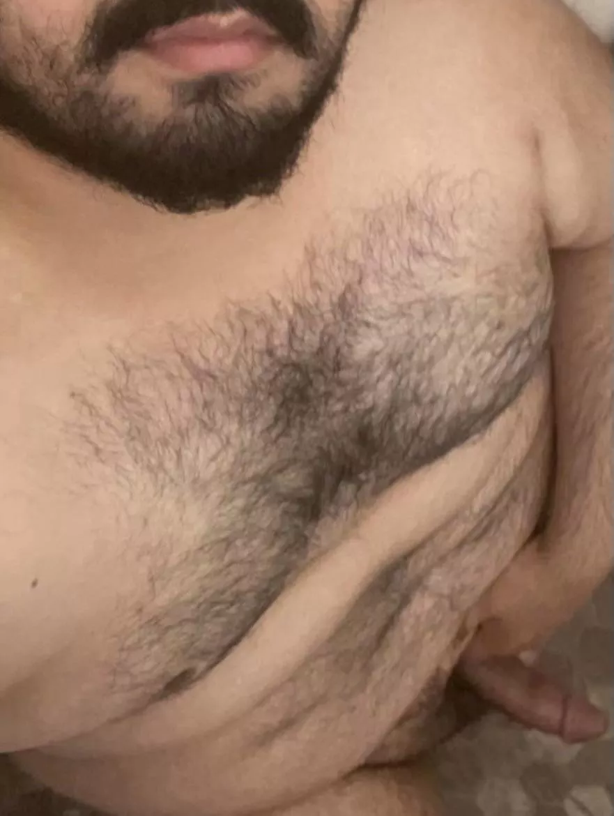 Anyone want to play? posted by Alternative_Mud_902