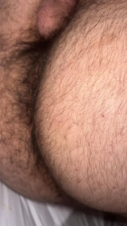 Arab hairy ass by Former_Judge6015