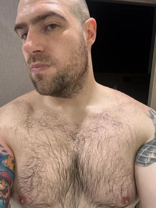 Back at my hotel after the gym, burry your face in this? by Realairbear