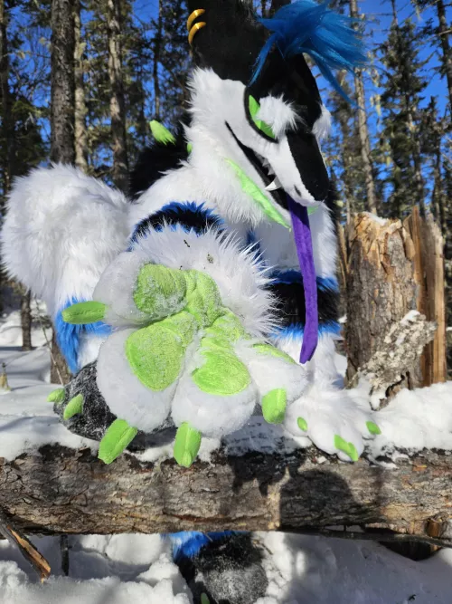 Give me your SOUL! by xXSpartan92Xx