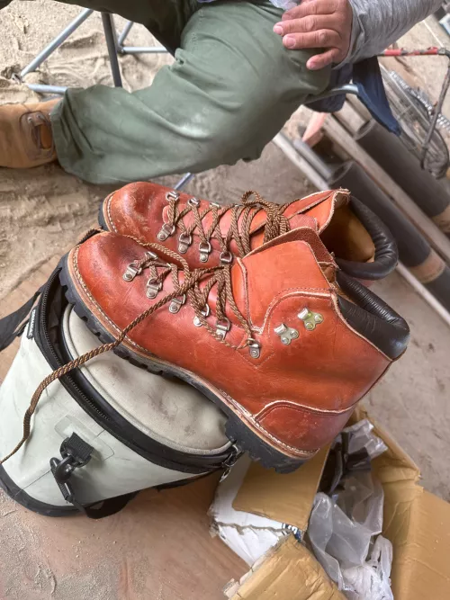 Good deal? by PapaPepeFieri