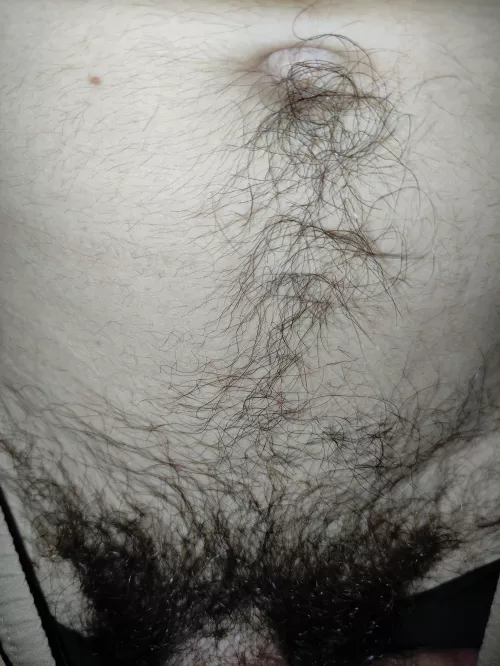 Has my belly hair become pubes? 😂 by Then-Mechanic-3092