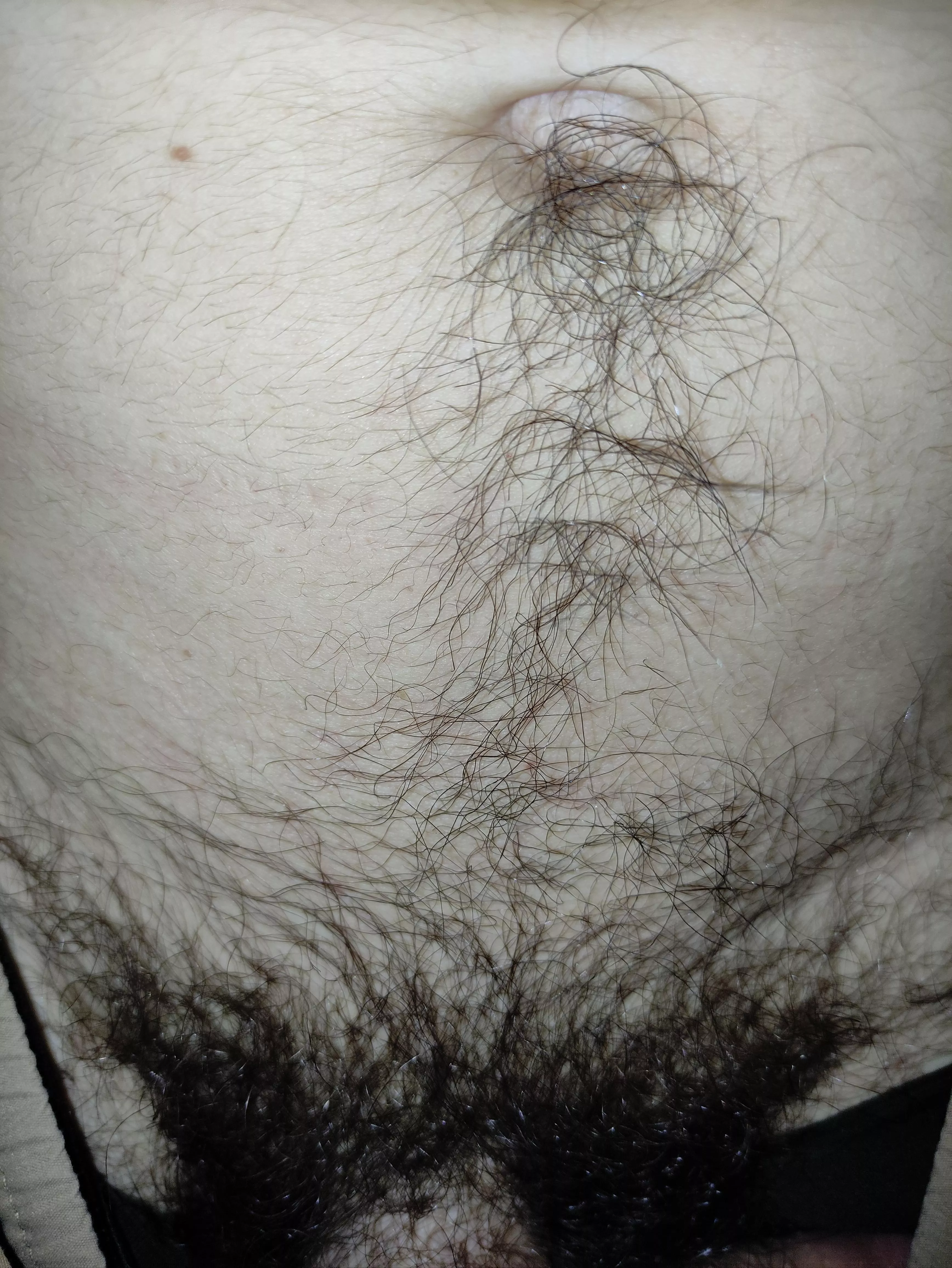 Has my belly hair become pubes? 😂 posted by Then-Mechanic-3092
