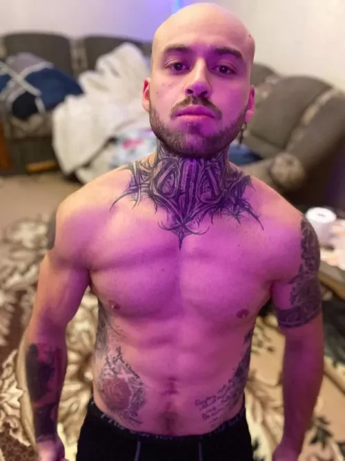 I am Total War fan by MikeStronghold27