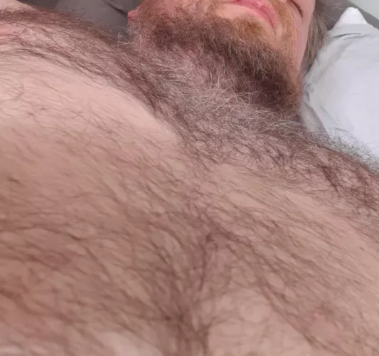 Is grey ok? (39) by Holla454