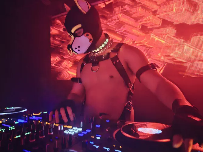 It's my cake day!! 🎂 by poke_pup