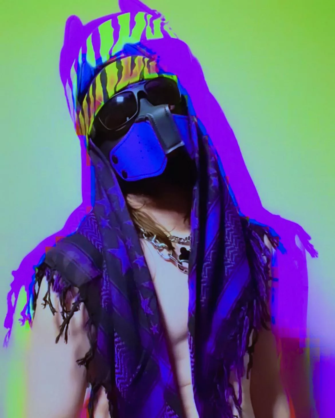 Living Acid Art Pup posted by PupRetRow