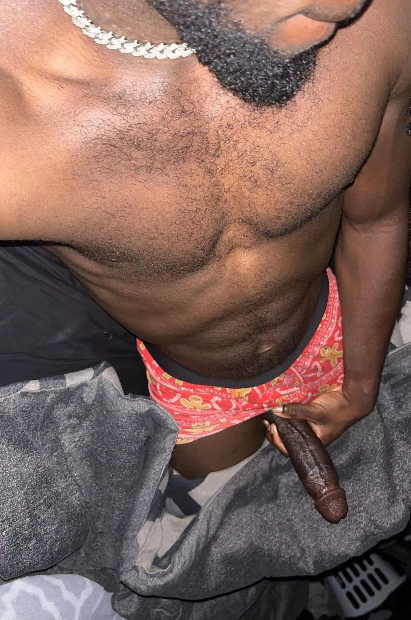 Look who came to say hello posted by keeskezen