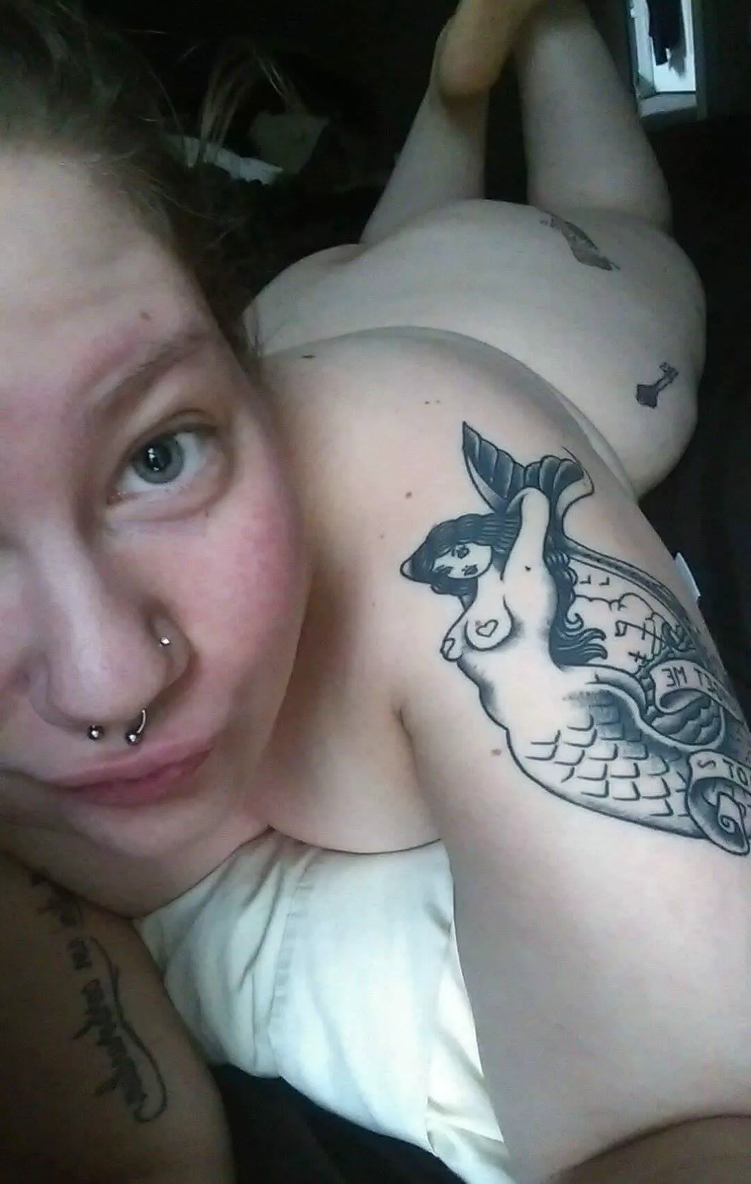 Meow posted by flannelinstaches