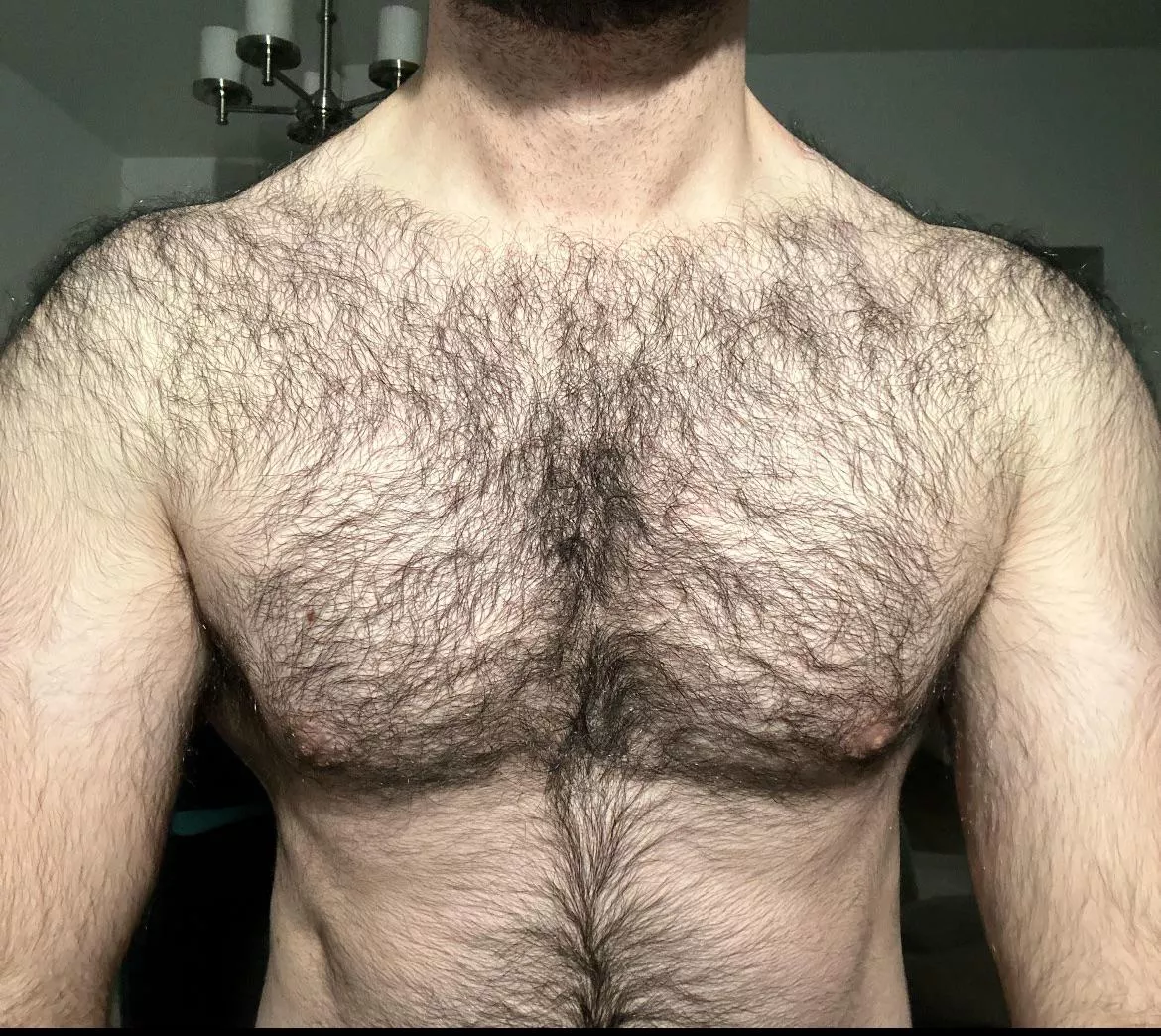 My sexy pecs are covered in a magic carpet posted by Absorber999
