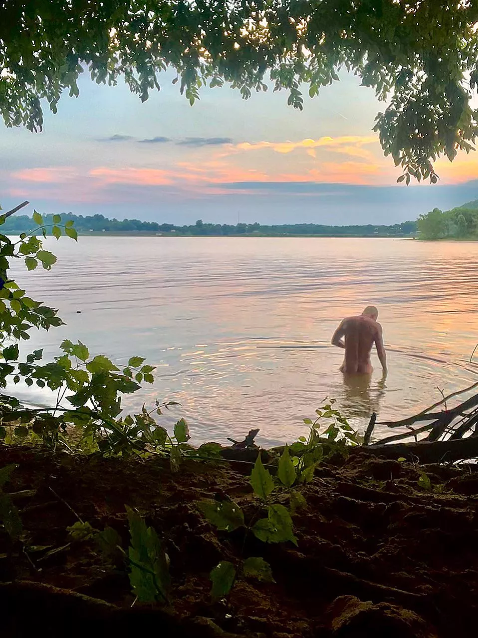 Nature posted by TrevorBoshamp