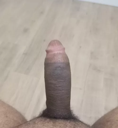 Need some help by spilledswimmers