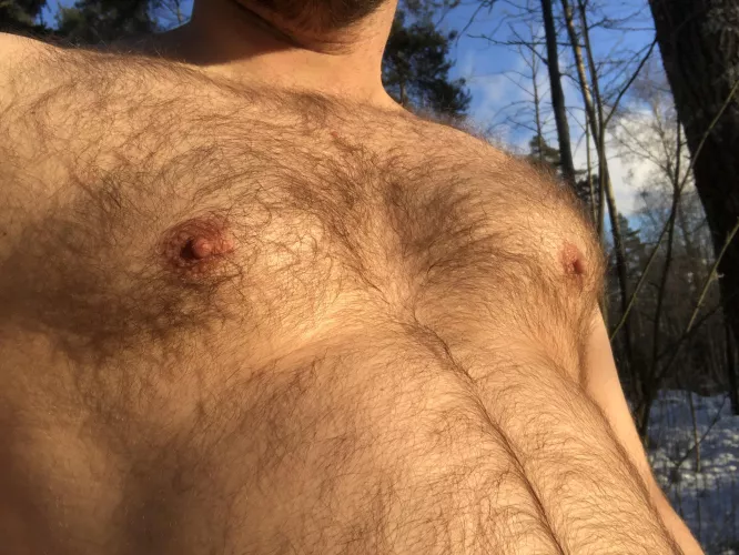 Otters do not hibernate, but remain active in wintertime, and can often be encountered playing in the snow by duckanor