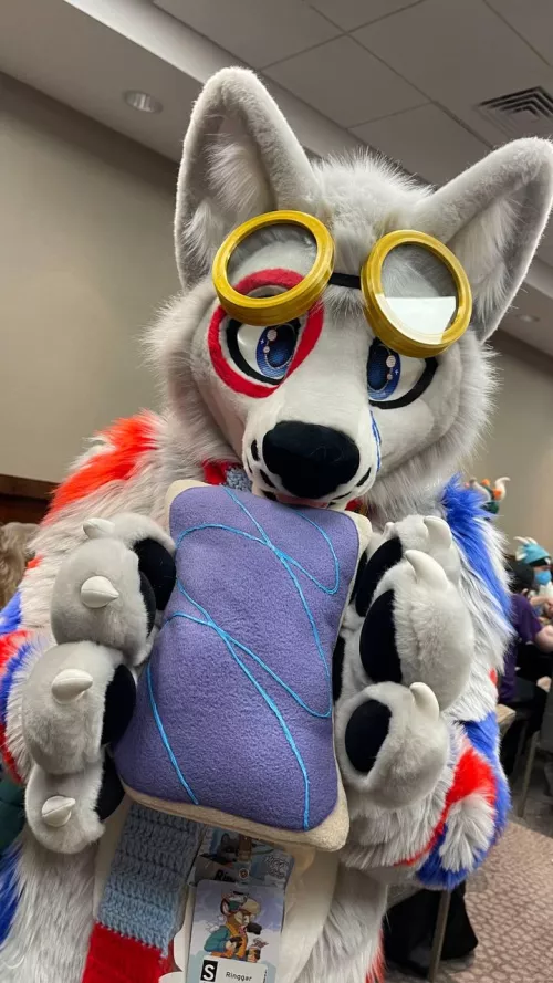 Pop-Tarts are an essential part of a circle wolf's diet! by Infamous0823