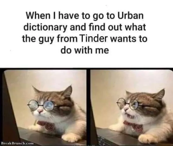 The Reason Why I Stay Single by Imjaynedoh