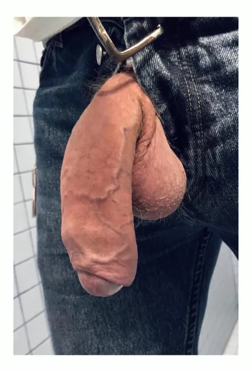 Trough the fly at the public urinals - would you look twice? by Typical-Mousse-11