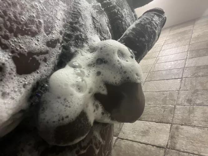 Wanna Join?👀🚿🧼 by Wavypapiiii