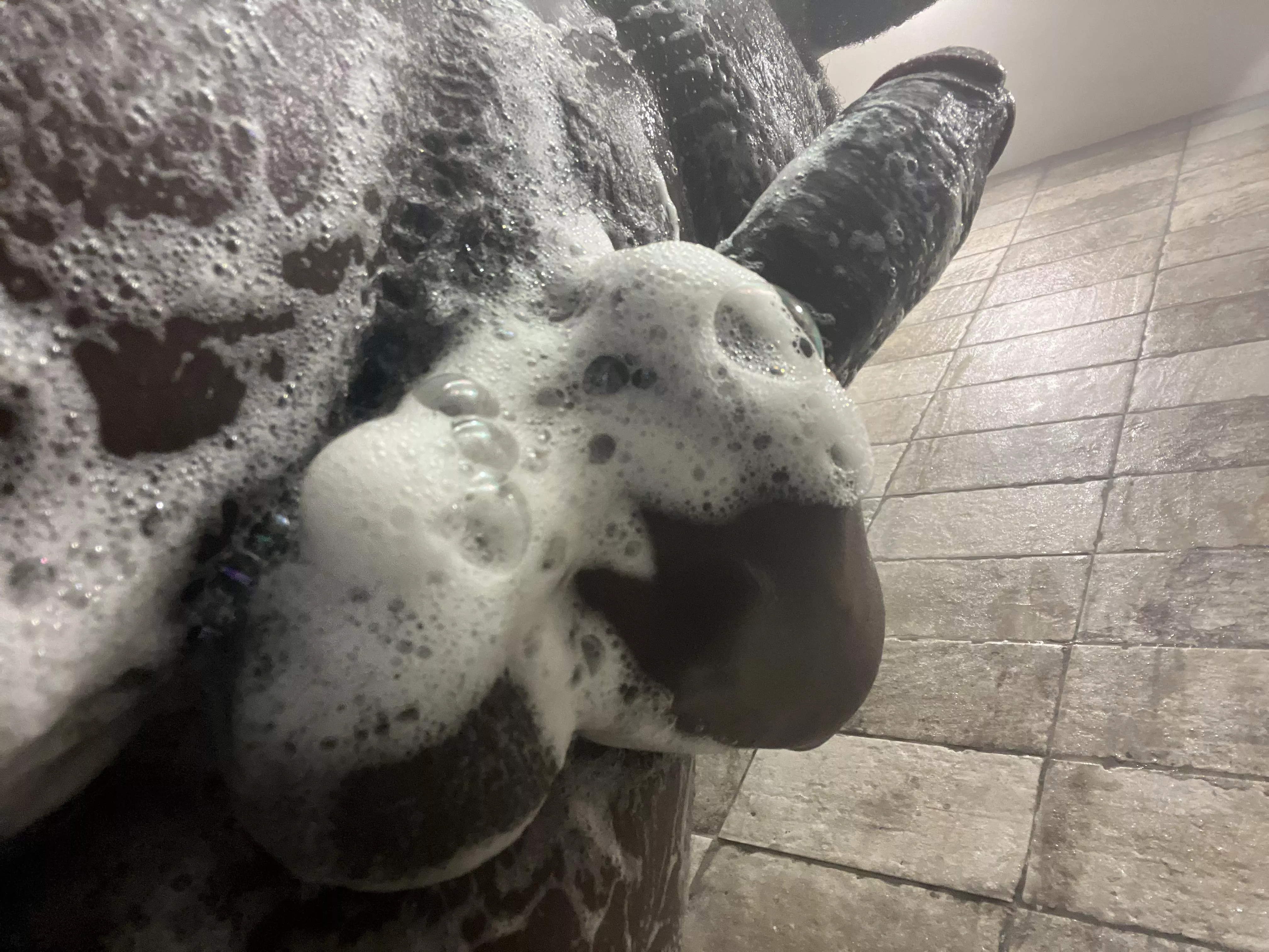 Wanna Join?👀🚿🧼 posted by Wavypapiiii