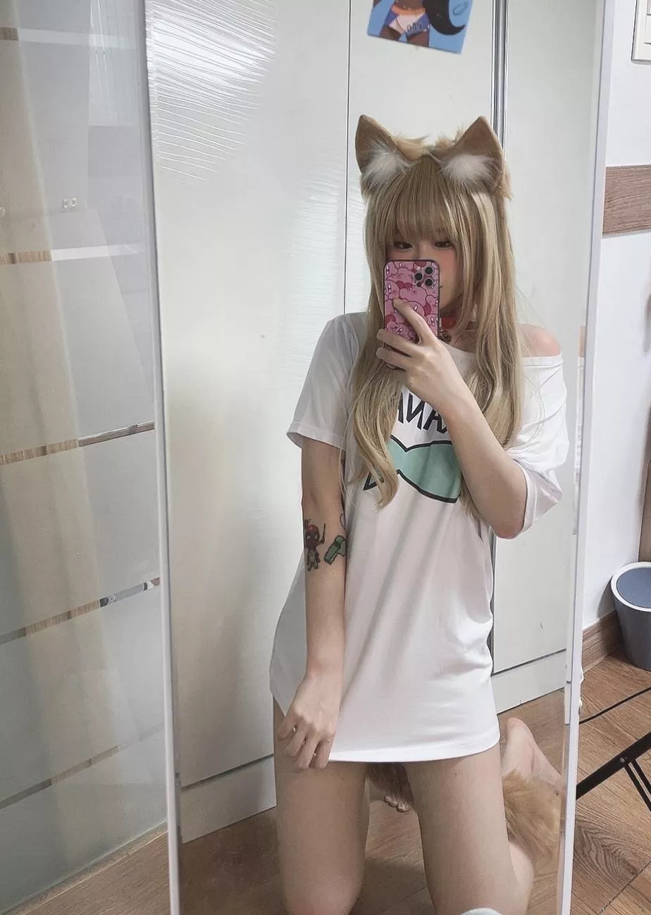 want to play with the kitten? posted by PhotoWorth