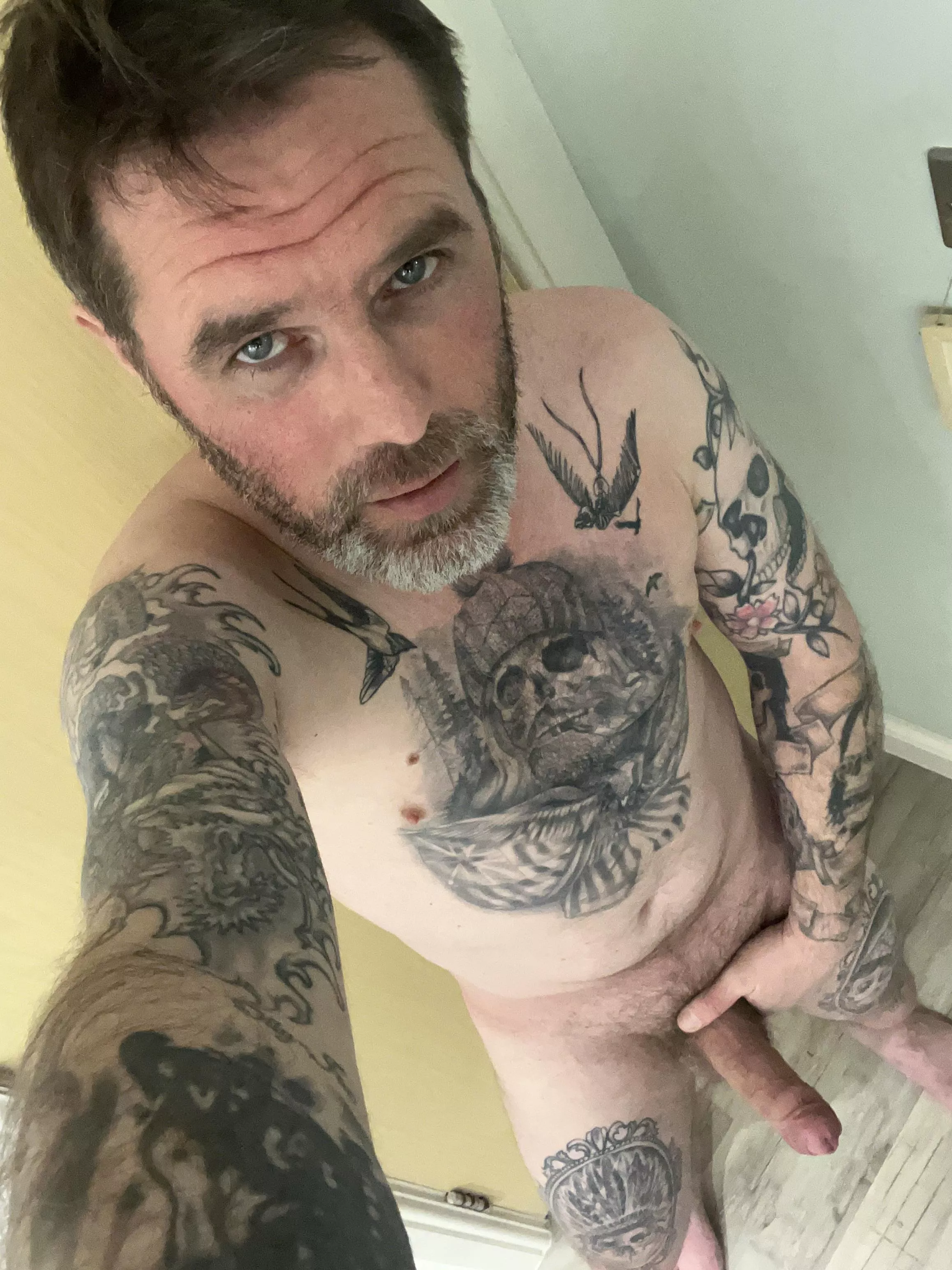 Want to touch it posted by Effective-Voice5902