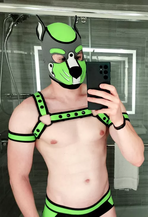 Who's ready for a walk? 🐾 by Pupsequently