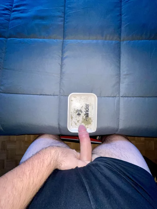 Woke up hard and horny, good (m)orning 😈 by Additional_Bear_5696