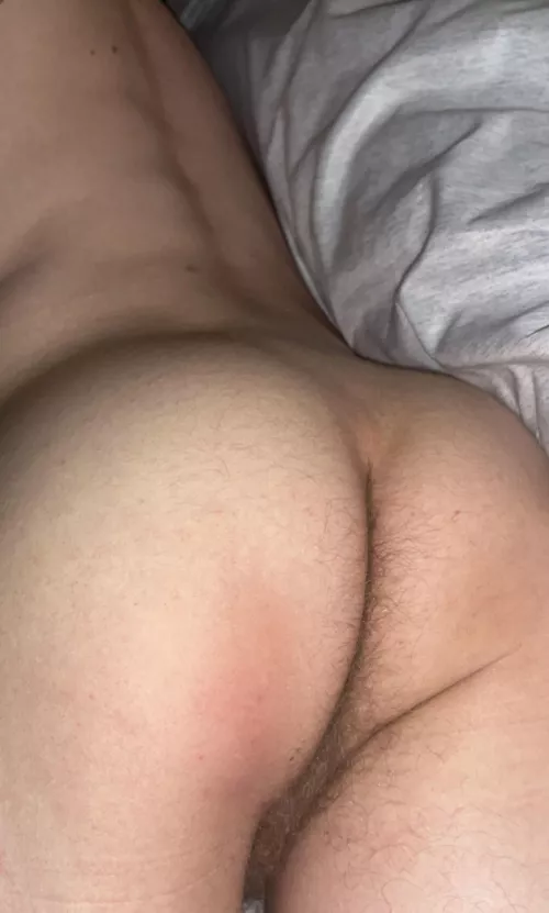 you like hairy taints? by Still_Explorer_6519