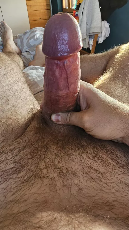 [34] Sunny morning by rougheffective2023