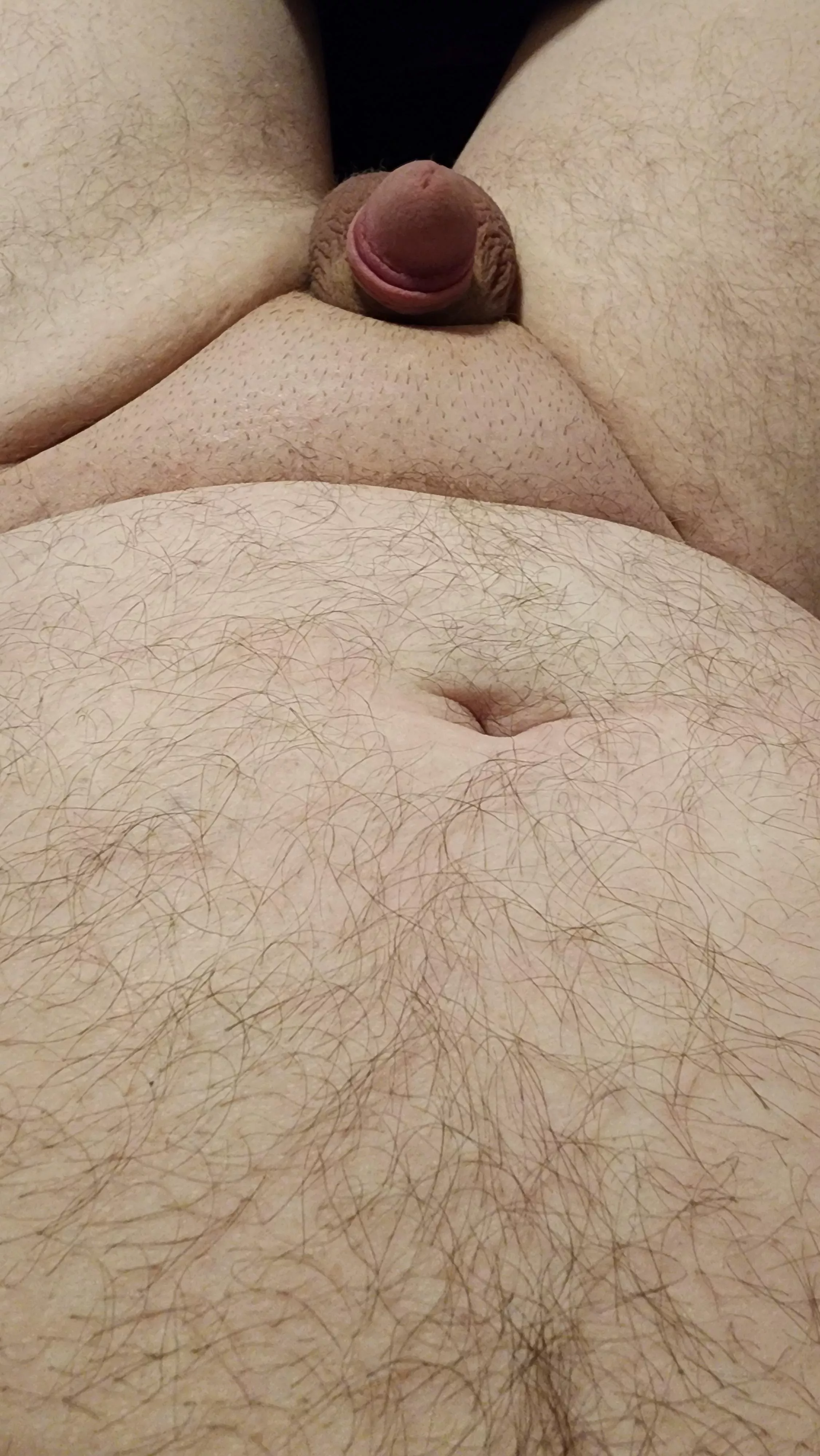 35, 5'5, 240 posted by Small_schlong88