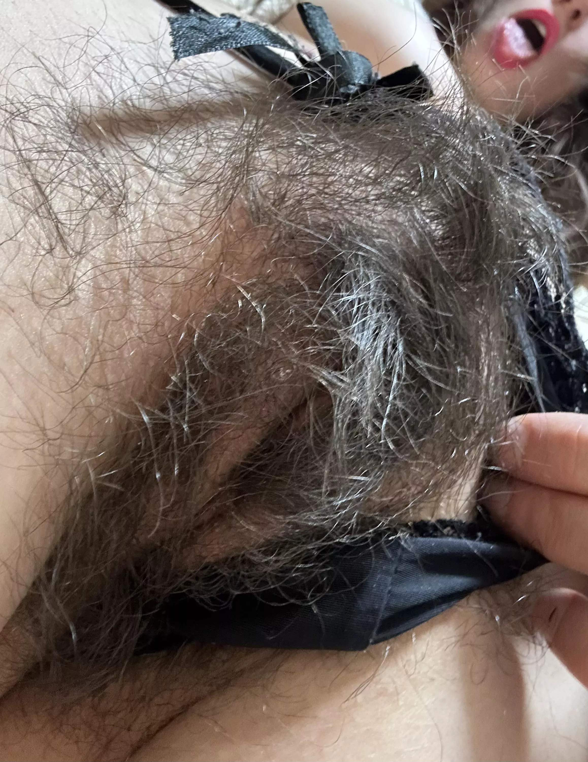 Explore my full bush posted by draconia777