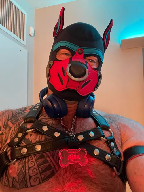 First Post by InitialDinner1739