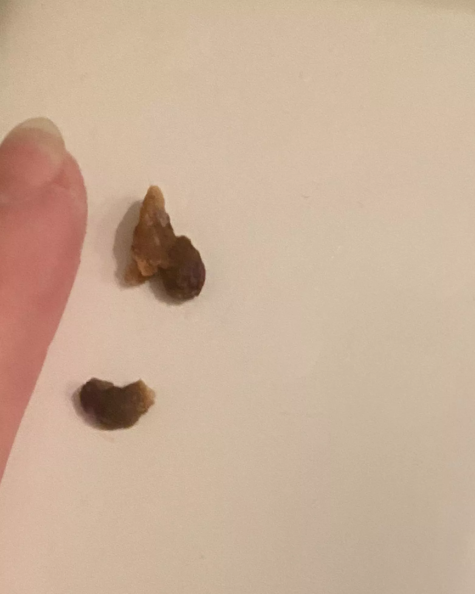 flushed these out of both ears. the world has never sounded so crisp in my life. posted by EverVirescent