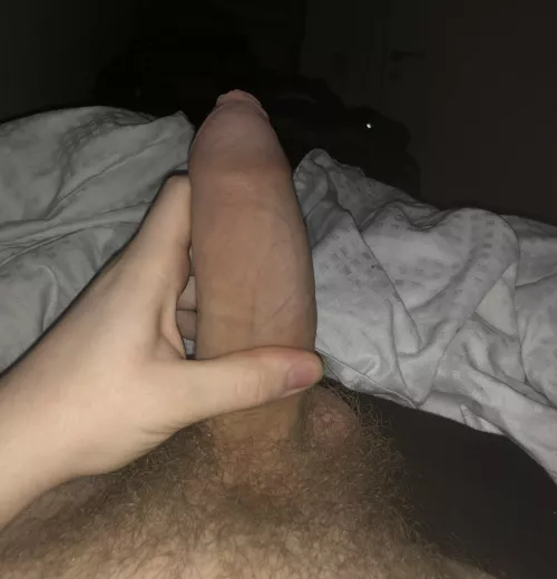 Hooded all the Way by Bulky-Share5931