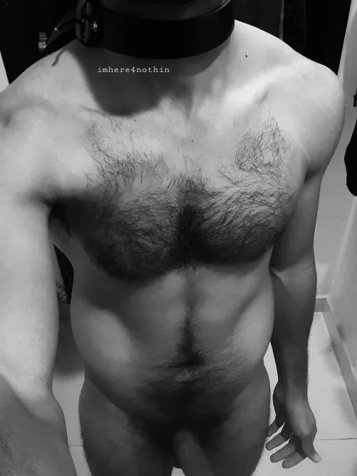 lemme be your good boy 😳[m] by imhere4nothin