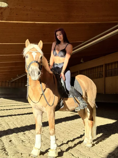 let me drive you crazy by daylongConnect549