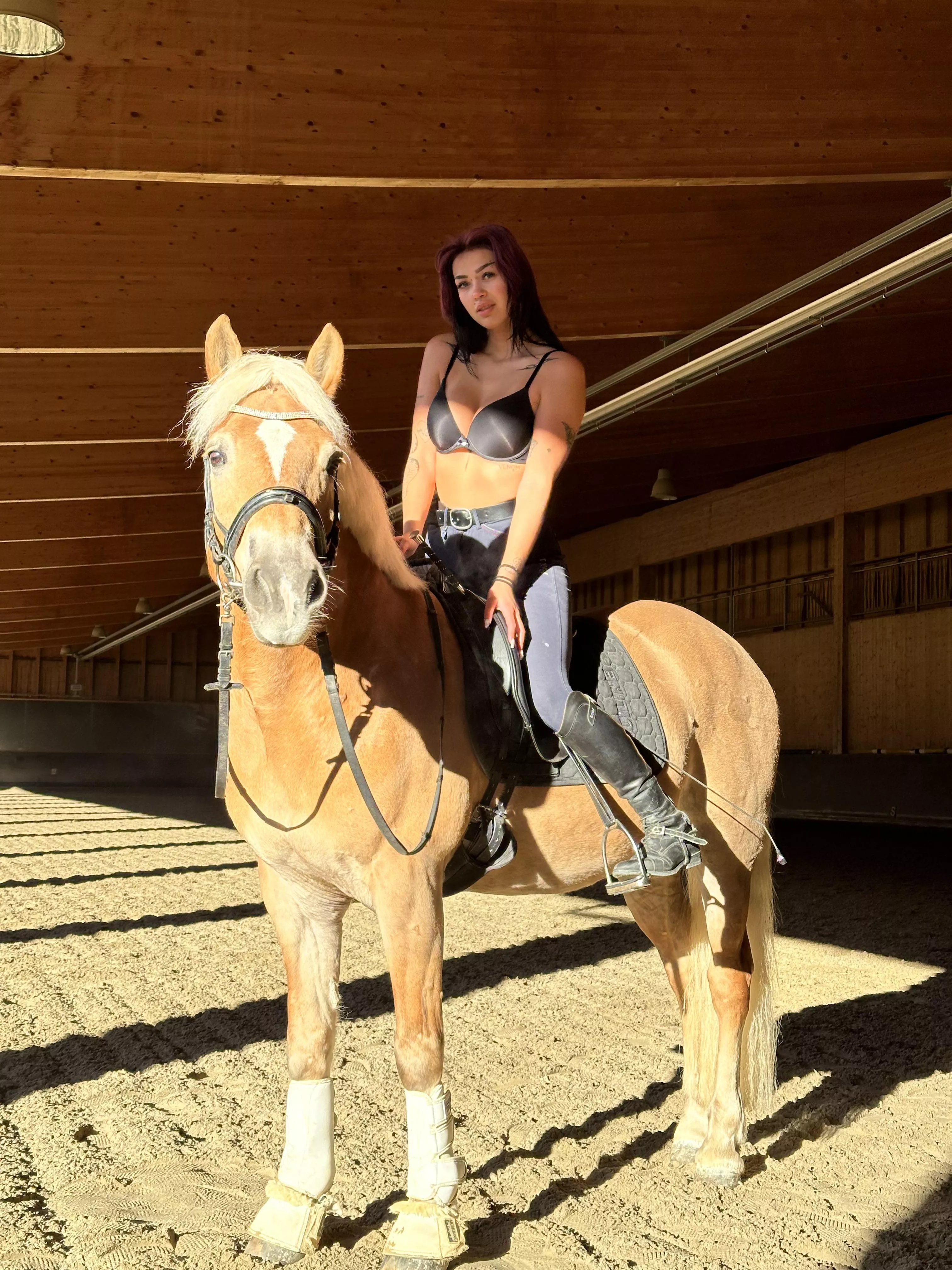 let me drive you crazy posted by daylongConnect549