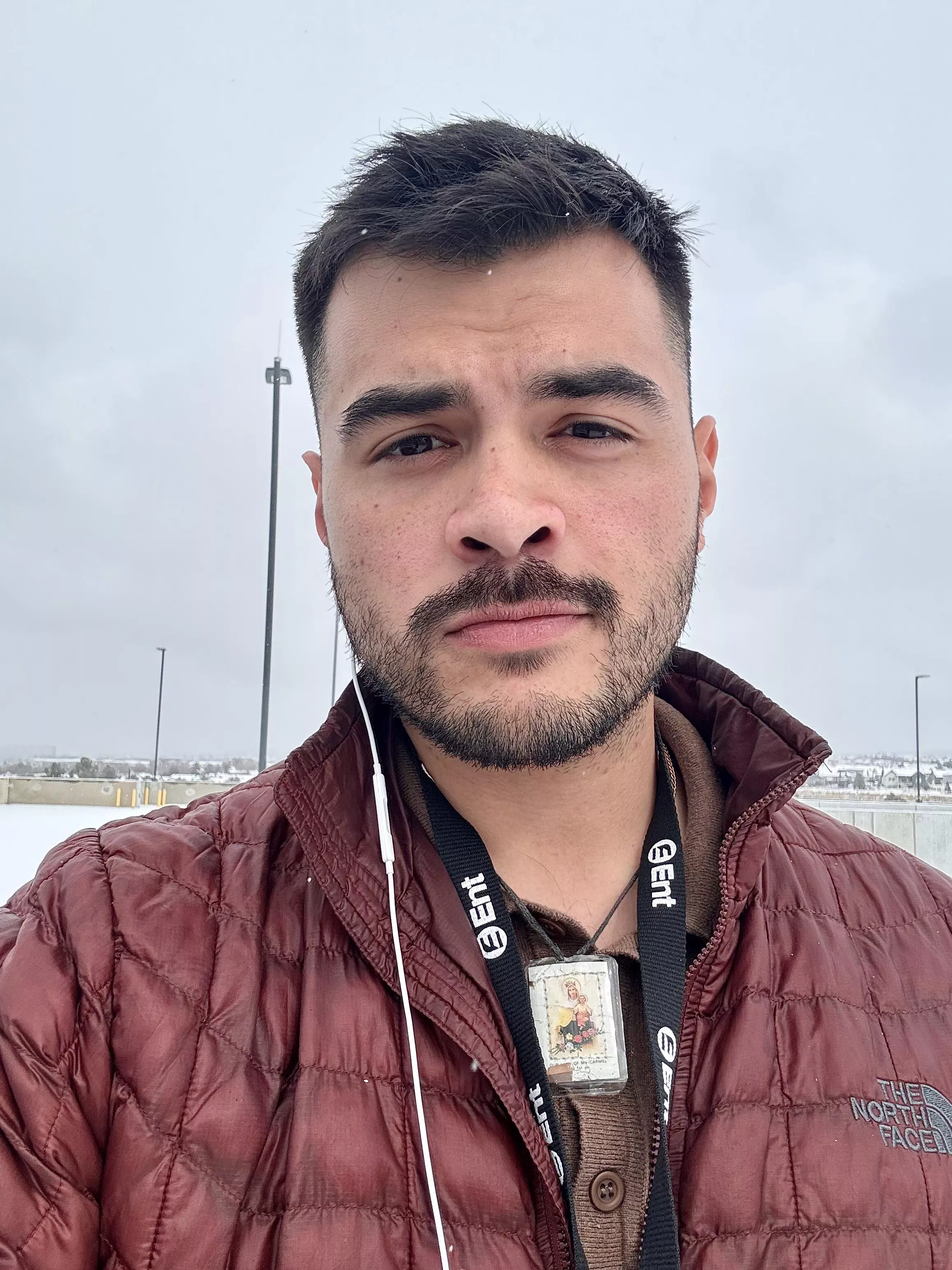 Looking for a snuggle in the snow posted by MikeA95