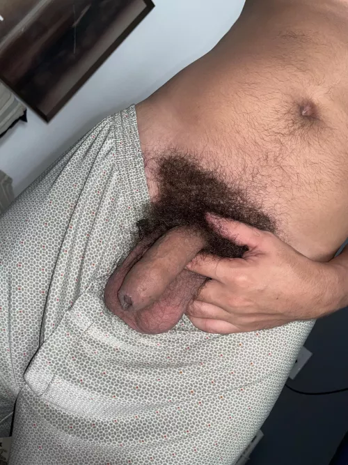 My dense bush by Western-Ad-7803