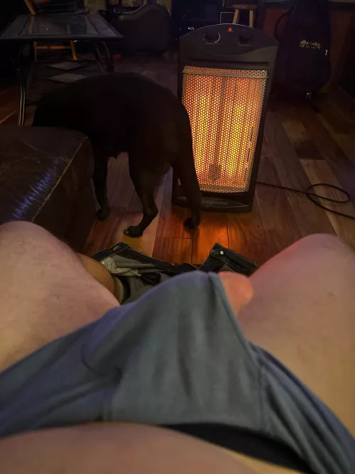 Peek abo by Cuddly83