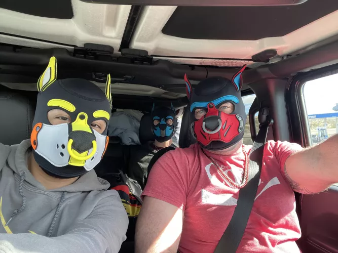 Puppy Road Trip by InitialDinner1739