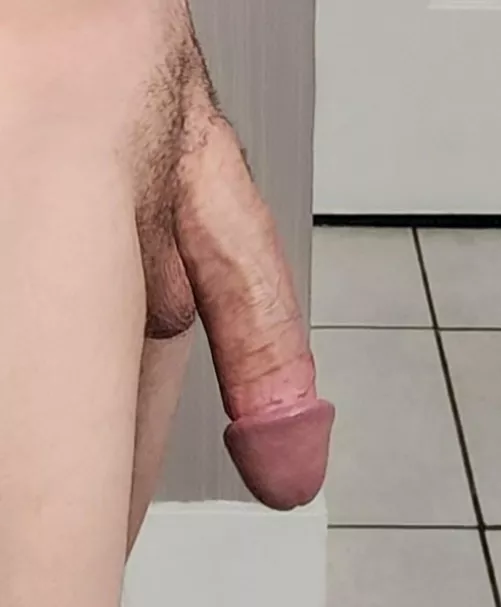 Quiet Friday night so I'm just gonna hang here... by Available-Spell5381