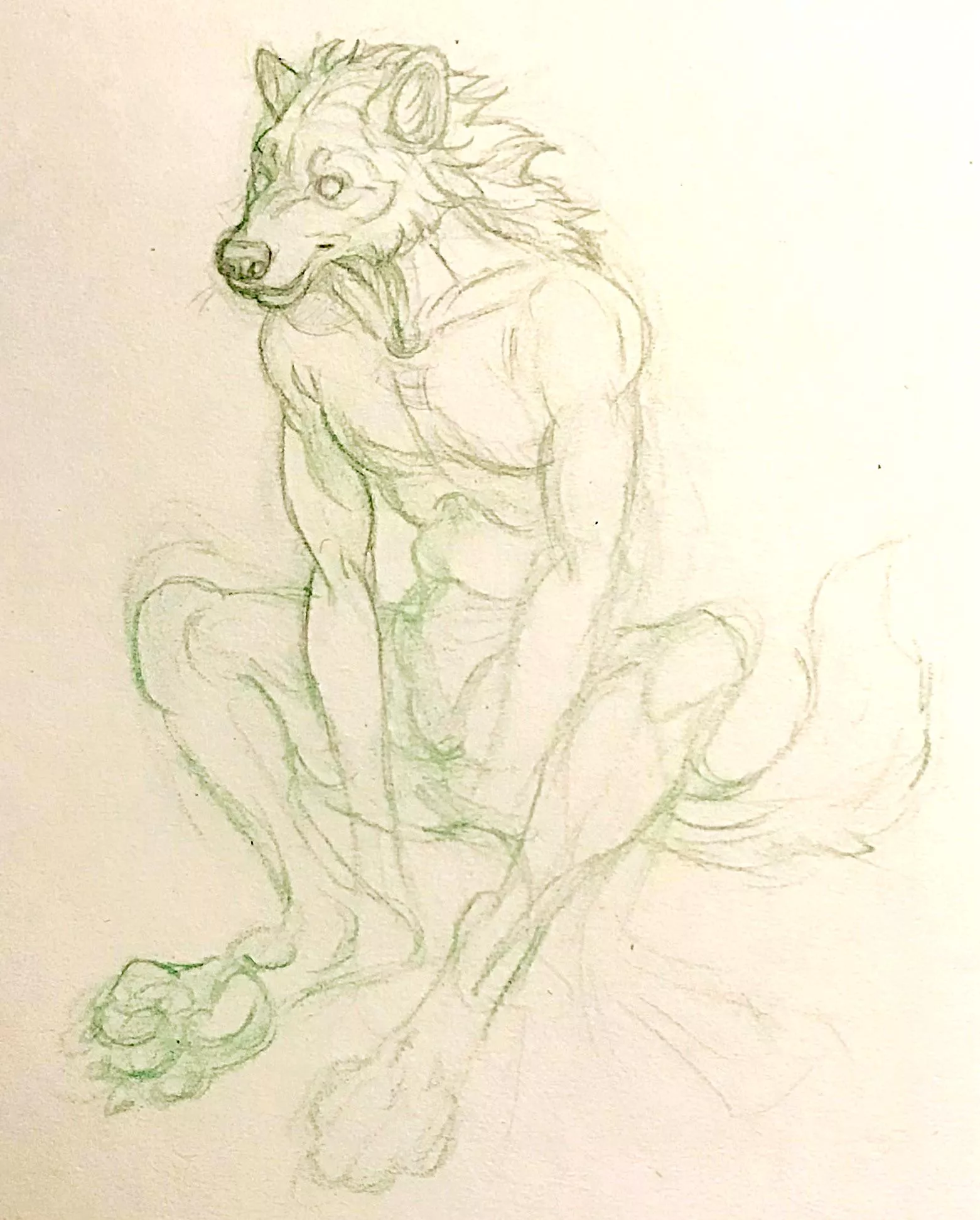 Sitting… posted by basenjing