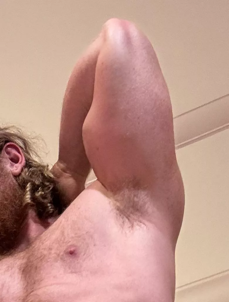 Sniff these ginger pits posted by Bearded_alpha1