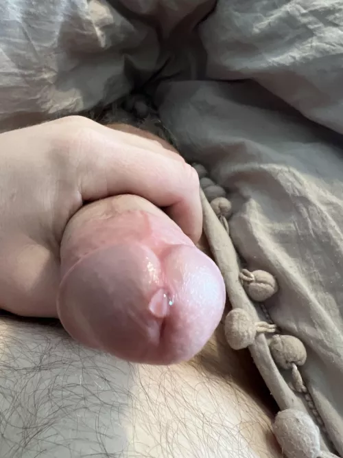 Taste by Restrictedacxess